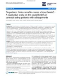 báo cáo khoa học: Do patients think cannabis causes schizophrenia? A qualitative study on the causal beliefs of cannabis using patients with schizophrenia