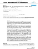 Báo cáo khoa học: Phenotyping of E. coli serotypes associated to oedema disea