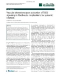 Báo cáo y học: Vascular alterations upon activation of TGFβ signaling in fibroblasts - implications for systemic sclerosis