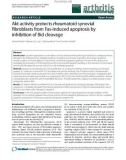 Báo cáo y học: Akt activity protects rheumatoid synovial fibroblasts from Fas-induced apoptosis by inhibition of Bid cleavage