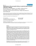 Báo cáo y học: Organization of the pronephric kidney revealed by large-scale gene expression mapping