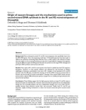 Báo cáo y học: Origin of nascent lineages and the mechanisms used to prime second-strand DNA synthesis in the R1 and R2 retrotransposons of Drosophila