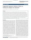 Báo cáo hóa học: Supported quantum clusters of silver as enhanced catalysts for reduction