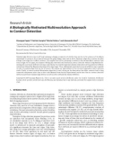 Báo cáo hóa học: Research Article A Biologically Motivated Multiresolution Approach to Contour Detection