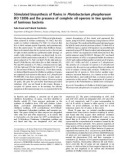 Báo cáo Y học: Stimulated biosynthesis of ﬂavins in Photobacterium phosphoreum IFO 13896 and the presence of complete rib operons in two species of luminous bacteria Sabu Kasai and Takumi Sumimoto