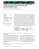 Báo cáo khoa học: LIN54 is an essential core subunit of the DREAM / LINC complex that binds to the cdc2 promoter in a sequence-speciﬁc manner