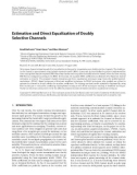 Báo cáo hóa học: Estimation and Direct Equalization of Doubly Selective Channels