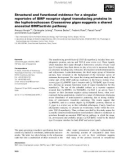 Báo cáo khoa học: Structural and functional evidence for a singular repertoire of BMP receptor signal transducing proteins in the lophotrochozoan Crassostrea gigas suggests a shared ancestral BMP/activin pathway