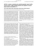 Báo cáo Y học: LRP130, a protein containing nine pentatricopeptide repeat motifs, interacts with a single-stranded cytosine-rich sequence of mouse hypervariable minisatellite Pc-1