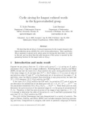 Báo cáo toán học: Cyclic sieving for longest reduced words in the hyperoctahedral group