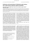 Báo cáo khoa học: Puriﬁcation and characterization of Helicobacter pylori arginase, RocF: unique features among the arginase superfamily