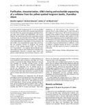 Báo cáo khoa học: Puriﬁcation, characterization, cDNA cloning and nucleotide sequencing of a cellulase from the yellow-spotted longicorn beetle, Psacothea hilaris