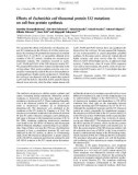 Báo cáo khóa học: Effects of Escherichia coli ribosomal protein S12 mutations on cell-free protein synthesis