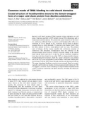 Báo cáo khoa học: Common mode of DNA binding to cold shock domains Crystal structure of hexathymidine bound to the domain-swapped form of a major cold shock protein from Bacillus caldolyticus