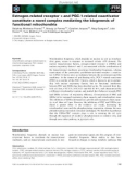 Báo cáo khoa học: Estrogen-related receptor a and PGC-1-related coactivator constitute a novel complex mediating the biogenesis of functional mitochondria