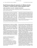 Báo cáo khoa học: Thyroid hormone induces the expression of 4-1BB and activation of caspases in a thyroid hormone receptor-dependent manner