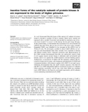 Báo cáo khoa học: Inactive forms of the catalytic subunit of protein kinase A are expressed in the brain of higher primates