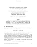 Báo cáo toán học: Identifying codes with small radius in some inﬁnite regular graphs