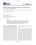 Báo cáo sinh học: Oxidative stress, thermogenesis and evolution of uncoupling proteins