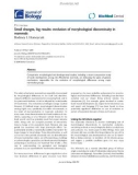 Báo cáo sinh học: Small changes, big results: evolution of morphological discontinuity in mammals