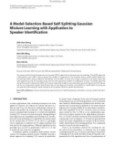 Báo cáo hóa học: A Model-Selection-Based Self-Splitting Gaussian Mixture Learning with Application to Speaker Identiﬁcation