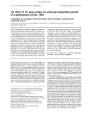 Báo cáo khoa học: The effect of ST2 gene product on anchorage-independent growth of a glioblastoma cell line, T98G