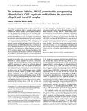 Báo cáo khóa học: The proteasome inhibitor, MG132, promotes the reprogramming of translation in C2C12 myoblasts and facilitates the association of hsp25 with the eIF4F complex