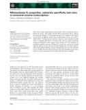 Báo cáo khoa học: Ribonuclease H: properties, substrate speciﬁcity and roles in retroviral reverse transcription