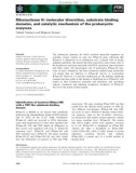 Báo cáo khoa học: Ribonuclease H: molecular diversities, substrate binding domains, and catalytic mechanism of the prokaryotic enzymes