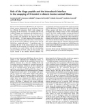 Báo cáo khoa học: Role of the hinge peptide and the intersubunit interface in the swapping of N-termini in dimeric bovine seminal RNase