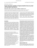 Báo cáo khoa học: Oxygen-dependent regulation of hypoxia-inducible factors by prolyl and asparaginyl hydroxylation