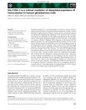 Báo cáo khoa học: Ets-1/ Elk-1 is a critical mediator of dipeptidyl-peptidase III transcription in human glioblastoma cells