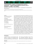 Báo cáo khoa học: Caenorhabditis elegans metallothionein isoform speciﬁcity – metal binding abilities and the role of histidine in CeMT1 and CeMT2