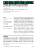 Báo cáo khoa học: Assembly of nuclear DNA-encoded subunits into mitochondrial complex IV, and their preferential integration into supercomplex forms in patient mitochondria