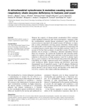 Báo cáo khoa học: A mitochondrial cytochrome b mutation causing severe respiratory chain enzyme deﬁciency in humans and yeast