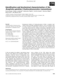 Báo cáo khoa học: Identiﬁcation and biochemical characterization of the Anopheles gambiae 3-hydroxykynurenine transaminase