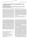 Báo cáo khoa học: The catalytic role of the distal site asparagine-histidine couple in catalase-peroxidases