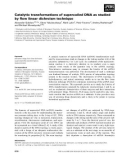 Báo cáo khoa học: Catalytic transformations of supercoiled DNA as studied by ﬂow linear dichroism technique