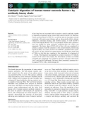 Báo cáo khoa học: Catalytic digestion of human tumor necrosis factor-a by antibody heavy chain