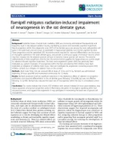 Báo cáo khoa học: Ramipril mitigates radiation-induced impairment of neurogenesis in the rat dentate gyrus