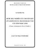 Luận văn Thạc sĩ Sinh học: Bước đầu nghiên cứu chuyển gen ipt (isopentenyl transferase) vào cây sâm Ngọc Linh (Panax vietnamensis Ha et Grushv.)