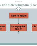 Bài giảng Tâm lý học: Chương 2 - Các hiện tượng tâm lý cá nhân