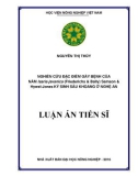 Luận án tiến sĩ: Nghiên cứu đặc điểm gây bệnh của nấm Isaria javanica (Friederichs & Bally) Samson & Hywel-Jones ký sinh sâu khoang ở Nghệ An