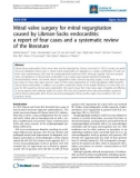 Báo cáo y học: Mitral valve surgery for mitral regurgitation caused by Libman-Sacks endocarditis: a report of four cases and a systematic review of the literature