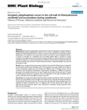 báo cáo khoa học: Inorganic polyphosphate occurs in the cell wall of Chlamydomonas reinhardtii and accumulates during cytokinesis