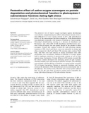 Báo cáo khoa học: Protective effect of active oxygen scavengers on protein degradation and photochemical function in photosystem I submembrane fractions during light stress