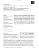 Báo cáo khoa học: Protein interactions in the sumoylation cascade – lessons from X-ray structures