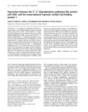 Báo cáo khóa học: Interaction between the 2¢)5¢ oligoadenylate synthetase-like protein p59 OASL and the transcriptional repressor methyl CpG-binding protein 1