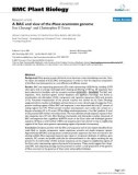 báo cáo khoa học: A BAC end view of the Musa acuminata genome