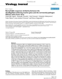 Báo cáo khoa học: Remarkable sequence similarity between the dinoflagellate-infecting marine girus and the terrestrial pathogen African swine fever virus 